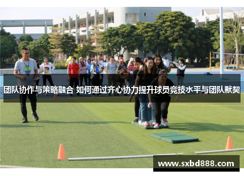 团队协作与策略融合 如何通过齐心协力提升球员竞技水平与团队默契