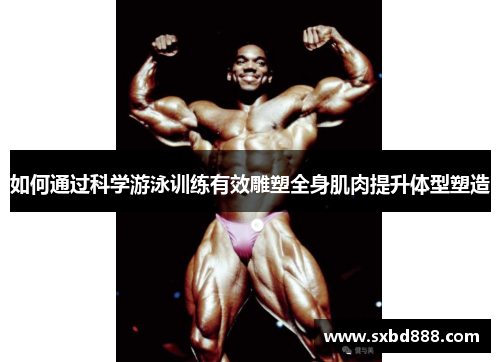 如何通过科学游泳训练有效雕塑全身肌肉提升体型塑造