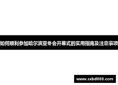 如何顺利参加哈尔滨亚冬会开幕式的实用指南及注意事项