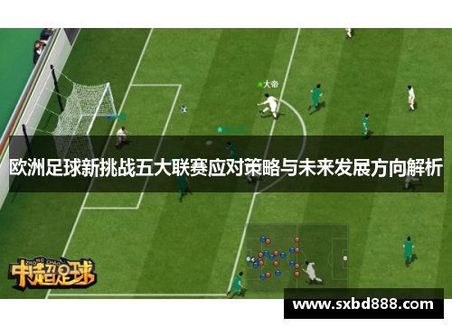 欧洲足球新挑战五大联赛应对策略与未来发展方向解析