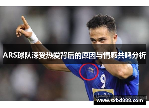 ARS球队深受热爱背后的原因与情感共鸣分析