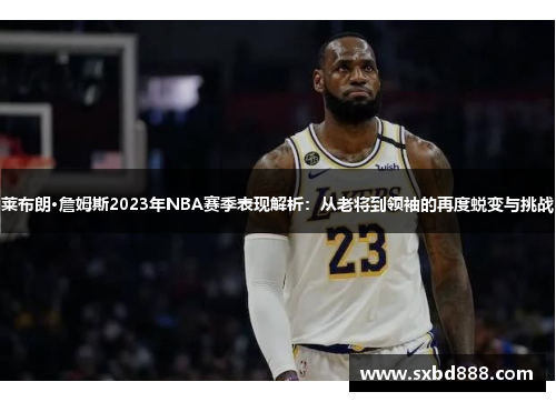 莱布朗·詹姆斯2023年NBA赛季表现解析:从老将到领袖的再度蜕变与挑战